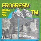 Progresiv TM - Dreptul de a Visa