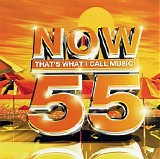 Various artists - Now That's What I Call Music 55 (2cd)
