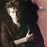 Don Henley - Building the Perfect Beast