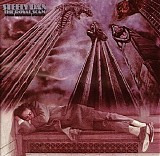 Steely Dan - Royal Scam