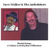 Dave Walker & The Ambulators - Mostly Sunny - A Tribute To Sonny Boy Williamson