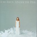 Tori Amos - More Pink, The B-sides