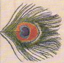 XTC - Homespun: The Apple Venus Volume One Home Demos