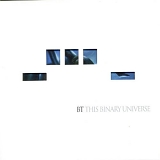 BT - This Binary Universe