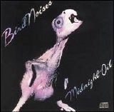 Midnight Oil - Bird Noises