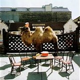 Wilco - (The Album)
