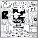 Bill Nelson - Northern Dream