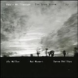 Robin Williamson - The Iron Stone