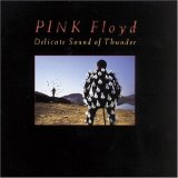 Pink Floyd - Delicate Sound of Thunder - CD1