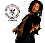 Terence Trend D'arby - Sananda Maitreya's Wildcard
