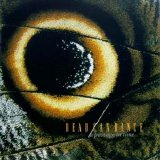 Dead Can Dance - A Passage In Time