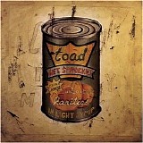 Toad the Wet Sprocket - In Light Syrup