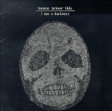 Bonnie 'Prince' Billy - I See a Darkness