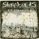 Shorebirds - It's Gonna Get Ugly