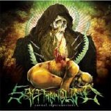 Salt The Wound - Carnal Repercussions
