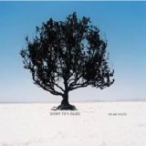 Shiny Toy Guns - We Are Pilots