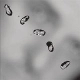 Peter Gabriel - 2002 - Up