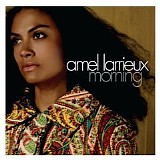 Amel Larrieux - Morning