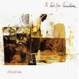 The Third Eye Foundation - Little Lost Soul