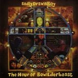 Badly Drawn Boy - The Hour Of Bewilderbeast
