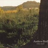Andrew Bird - Noble Beast