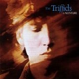 The Triffids - Calenture