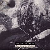 David Sylvian - Secrets of the Beehive