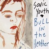 Sonic Youth - Bull in the Heather