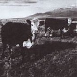 Mark Kozelek - The Finally LP