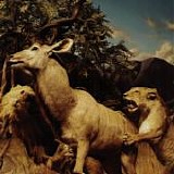 Interpol - Our Love To Admire