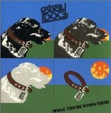 Stray Dog - ler INFO - While You're Down There
