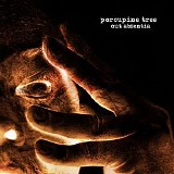 Porcupine Tree - Out Absentia