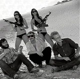 Deer Tick - War Elephant