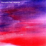 Porcupine Tree - Metanoia