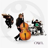 Owl - Owl