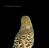 Andrew Bird - Armchair Apocrypha