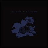 Bright Eyes - Digital Ash in a Digital Urn