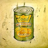 Toad the Wet Sprocket - In Light Syrup
