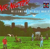 Mr. Mister - Welcome to the Real World