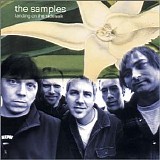 The Samples - Landing on the Sidewalk