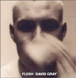 David Gray - Flesh