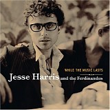 Jesse Harris & The Ferdinandos - While the Music Lasts