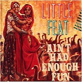 Little Feat - Ain't Had Enough Fun