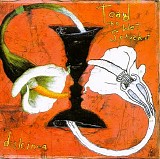 Toad The Wet Sprocket - Dulcinea