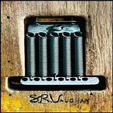 Stevie Ray Vaughan & Double Trouble - SRV (3 CD & DVD BOX)