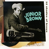 Junior Brown - 12 Shades Of Brown