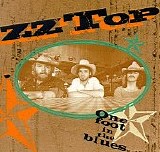 ZZ Top - One Foot In the Blues