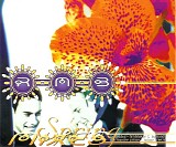 RMB - Spring Mixes