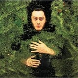 Alain Bashung - Fantaisie Militaire [VINYL]