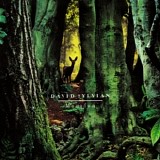 David Sylvian - Manafon